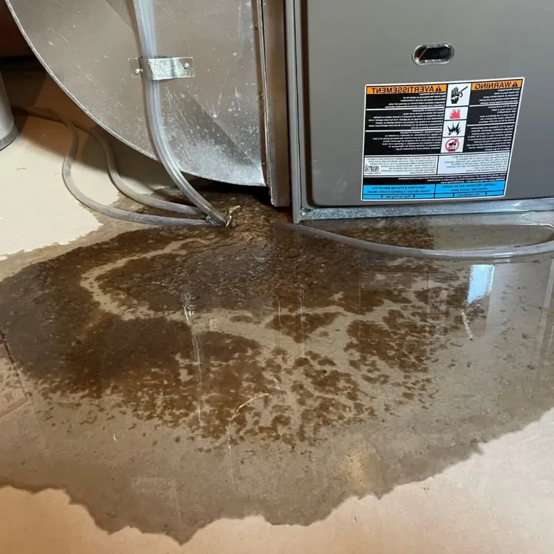Pipe Burst and Leak Restoration in Tierras Nuevas Poniente, PR