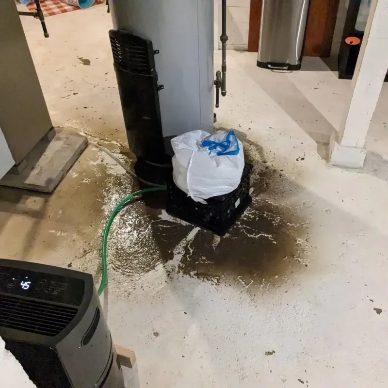 Sewage Backup Cleanup Service in Tierras Nuevas Poniente, PR